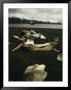 Old Whale Bones On A Black Sand Beach, With A Boat Anchored Offshore by Bill Curtsinger Limited Edition Print