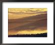 Brocken Mountain Landscape In Golden Light by Norbert Rosing Limited Edition Pricing Art Print