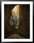 Natural Light Illuminates Majlis Al Jinn by Stephen Alvarez Limited Edition Print