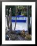 Jardin Majorelle, Marrakesh (Marrakech), Morocco, North Africa, Africa by Bruno Morandi Limited Edition Print