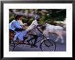 Young Women On Cycle Rickshaw, Lucknow, Uttar Pradesh, India by Greg Elms Limited Edition Print
