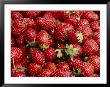 Close View Of Freshly Picked Strawberries by Brian Gordon Green Limited Edition Pricing Art Print