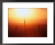Sunset On Waitemata Harbour, Auckland, New Zealand by David Wall Limited Edition Print