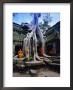 Monks In The Ta Prohm Temple, Angkor, Unesco World Heritage Site, Siem Reap, Cambodia, Asia by Gavin Hellier Limited Edition Print