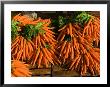Carrots, Metkovic, Dalmatia, Croatia by Russell Young Limited Edition Print