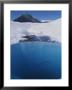 A Deep Blue Pool Of Icy Water On Root Glacier, Below Donoho Peak by Rich Reid Limited Edition Print