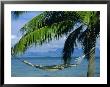 Hammock, Tahiti, Society Islands, French Polynesia, South Pacific Islands, Pacific by Sylvain Grandadam Limited Edition Print