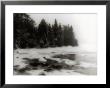Frozen Lake And Evergreen Trees by Cheryl Clegg Limited Edition Print