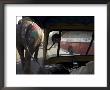 Elephant And Bus On The Road Seen From A Motor Rickshaw, Jaipur, Rajasthan State, India by Eitan Simanor Limited Edition Print