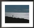 Silhouette Of Man Jogging Past A Bare Glacier Below Patriot Hills by Gordon Wiltsie Limited Edition Pricing Art Print