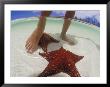 Starfish And Feet, Bahamas, Caribbean by Greg Johnston Limited Edition Print