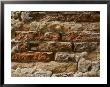 Close-Up Of An Eroded Brick Wall In Venice by Todd Gipstein Limited Edition Print