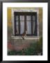 A Cat Sitting On An Exterior Window Sill In Tournus by Todd Gipstein Limited Edition Print