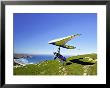 Hang Glider, Otago Peninsula, South Island, New Zealand by David Wall Limited Edition Pricing Art Print