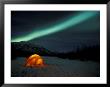 Camper's Tent Under Curtains Of Green Northern Lights, Brooks Range, Alaska, Usa by Hugh Rose Limited Edition Print