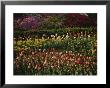A Colorful Combination Of Garden Flowers At The Wardman Park Hotel by Stephen St. John Limited Edition Pricing Art Print
