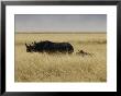 A Black Rhinoceros And Her Youngster Walk In The Tall Grass by Jason Edwards Limited Edition Print