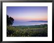 Sea Of Galilee, Israel by Jon Arnold Limited Edition Print
