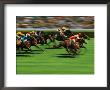 Horse Racing, Australia by Peter Walton Limited Edition Print