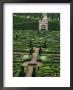 Jardins Et Chateau Villandry, France by Walter Bibikow Limited Edition Print