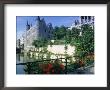 Street, Ghent, Belgium by Peter Adams Limited Edition Print