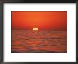 Sunset, Cabo San Lucas, Baja California, Mexico by Yvette Cardozo Limited Edition Print
