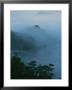 Fog Clings To Tree-Filled Mountainsides by Jodi Cobb Limited Edition Print