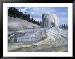Cone And Runoff Channels Of Lone Star Geyser, Yellowstone National Park, Wyoming, Usa by Scott T. Smith Limited Edition Print