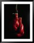 Hanging Boxing Gloves by Ernie Friedlander Limited Edition Pricing Art Print