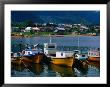 Fishing Boats Moored In Town Harbour, Puerto Cisnes, Chile by Brent Winebrenner Limited Edition Pricing Art Print