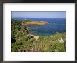 Esterel Corniche Near St. Raphael, Cote D'azur, Mediterranean Coast, Provence, France, Europe by Michael Busselle Limited Edition Print