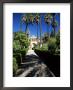 The Gardens Of The Reales Alcazares (Alcazar), Seville, Andalucia (Andalusia), Spain, Europe by Ruth Tomlinson Limited Edition Print