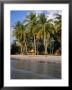 Bungalows Under Palms Of Hat Kaibae, Thailand by Pershouse Craig Limited Edition Print