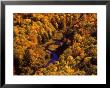 Big Carp River, Porcupine State Park, Michigan, Usa by Chuck Haney Limited Edition Print