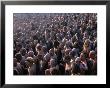 Crowds Of Naga Sadhus During Maha Kumbh Mela Festival, Allahabad, India by Anders Blomqvist Limited Edition Pricing Art Print