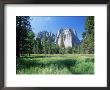 View Across Meadows To Cathedral Rocks, Yosemite National Park, Unesco World Heritage Site, Usa by Ruth Tomlinson Limited Edition Print