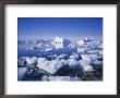 Icebergs And Brash Ice, Antarctica, Polar Regions by Geoff Renner Limited Edition Pricing Art Print