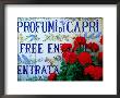 Ceramic Tiles Advertising Entrance To Perfumery, Capri Town, Capri, Campania, Italy by David Tomlinson Limited Edition Pricing Art Print