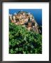 Manarola Town From Above, Cinque Terre, Liguria, Italy by John Elk Iii Limited Edition Pricing Art Print