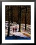 Walkers On Snow Covered Path In Woodland At Grasmere, Lake District National Park, Cumbria, England by David Tomlinson Limited Edition Print