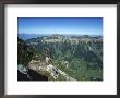 Male Alpine Ibex, View Of Sigriswiler Rothorn, Niederhorn, Switzerland by Rolf Nussbaumer Limited Edition Print