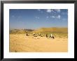 Women Ride Donkeys Along Side Of Road Between Maimana And Mazar-I-Sharif, Afghanistan by Jane Sweeney Limited Edition Print