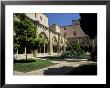 Cloister Garden, Tarragona Cathedral, Tarragona, Catalonia, Spain by Ruth Tomlinson Limited Edition Print