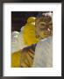 The 106 Pieces Of Coloured Cemented Buddha Statue, Wat Pangbua, Samui Island (Koh Samui), Thailand by Alain Evrard Limited Edition Print