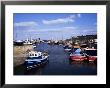Harbour, Seahouses, Northumberland, England, United Kingdom by Geoff Renner Limited Edition Print