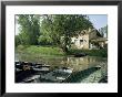 Marais Poitevin, Near Coulon, Western Loire, Poitou Charentes, France by Michael Busselle Limited Edition Print