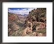 The Bright Angel Trail, Beneath The South Rim, Grand Canyon National Park, Arizona, Usa by Ruth Tomlinson Limited Edition Pricing Art Print