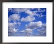 Blue Sky And Puffy White Clouds by Fraser Hall Limited Edition Print