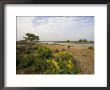The Famous Outlet Of The Blue Nile Into Lake Tana, Gondar Region, Ethiopia by Gavin Hellier Limited Edition Print