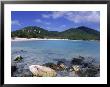 Coral, Salt Pond Bay, St. John, Usvi by Jim Schwabel Limited Edition Pricing Art Print